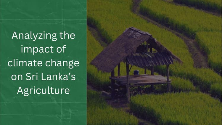 Analyzing the Impact of Climate Change on Sri Lanka's Agriculture